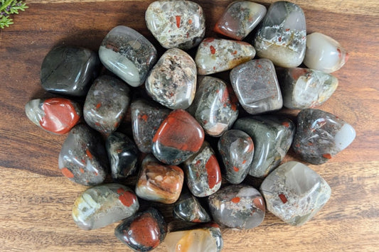 African Bloodstone Tumbled - Set of 5