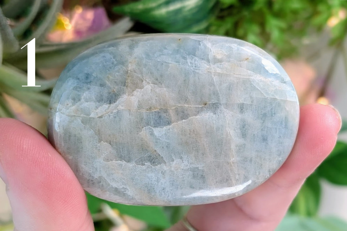 Aquamarine Palm Stone