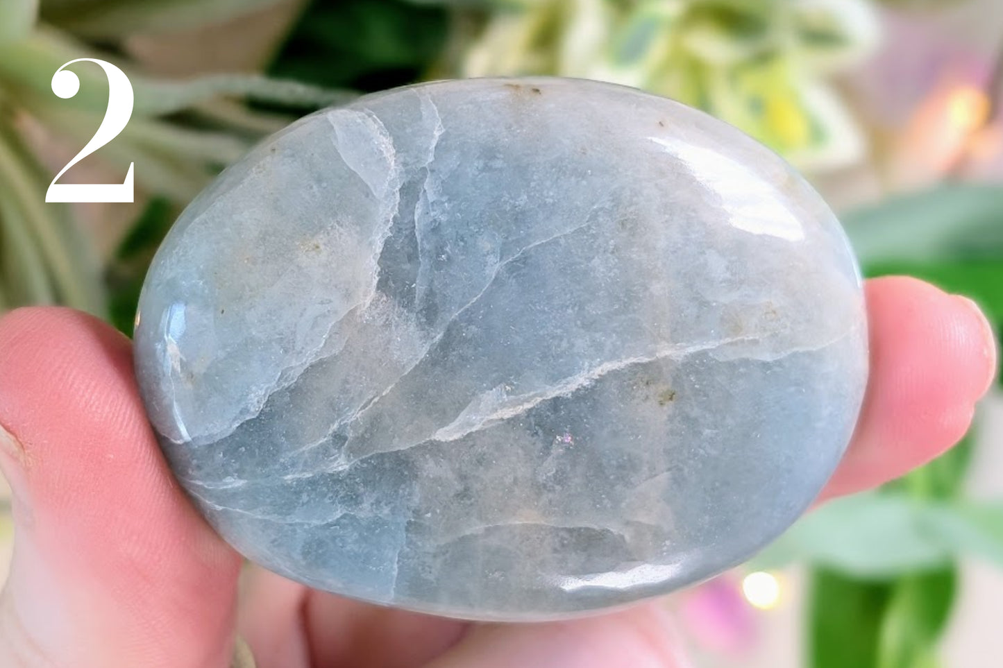 Aquamarine Palm Stone