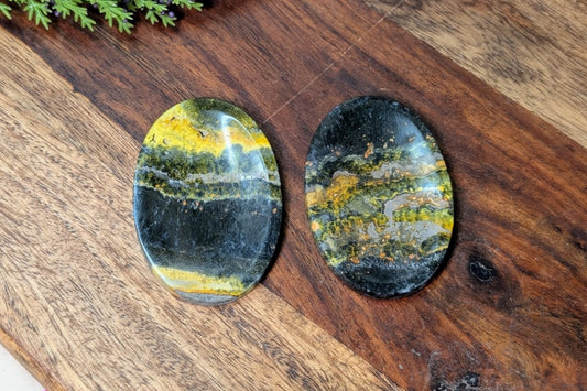 Bumblebee Jasper Worry Stone