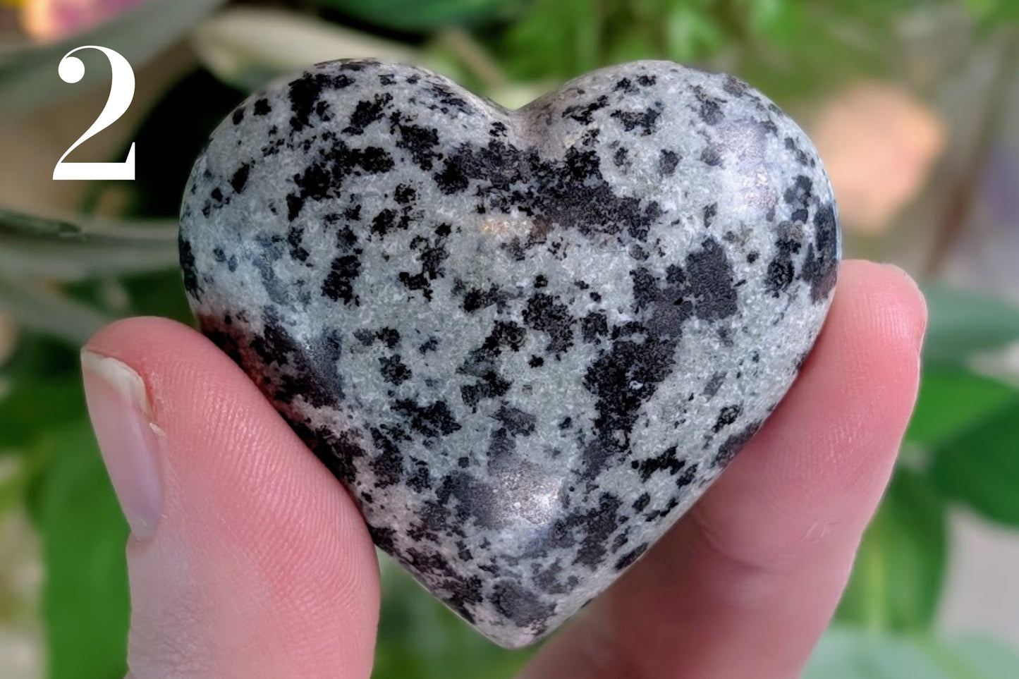 Dalmatian Jasper Heart 2"