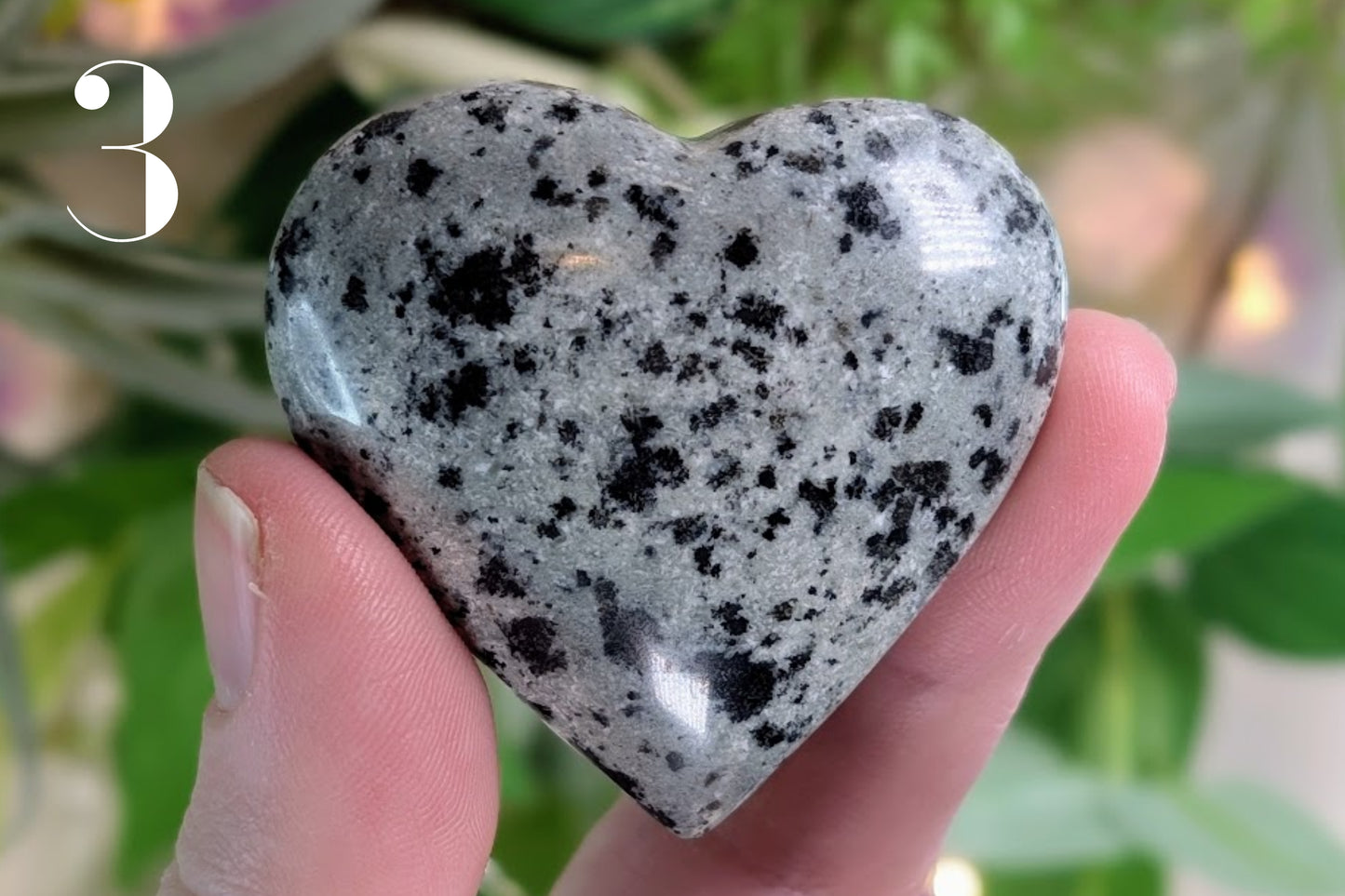 Dalmatian Jasper Heart 2"