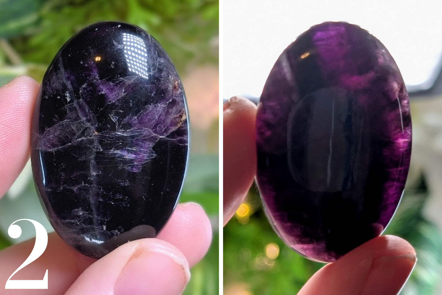 Fluorite Palm Stone 2"