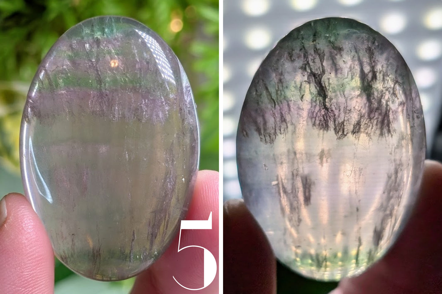 Fluorite Palm Stone 2"