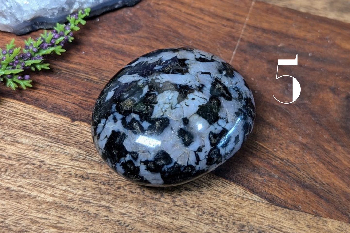 Merlinite (Indigo Gabbro) Palm Stone