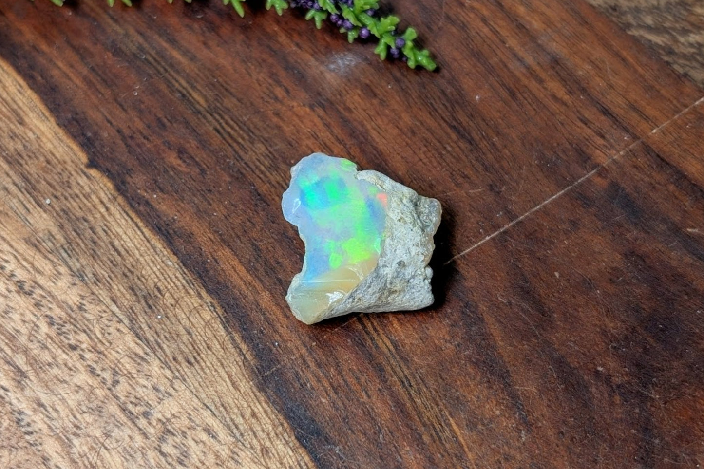 Opal Rough Pieces