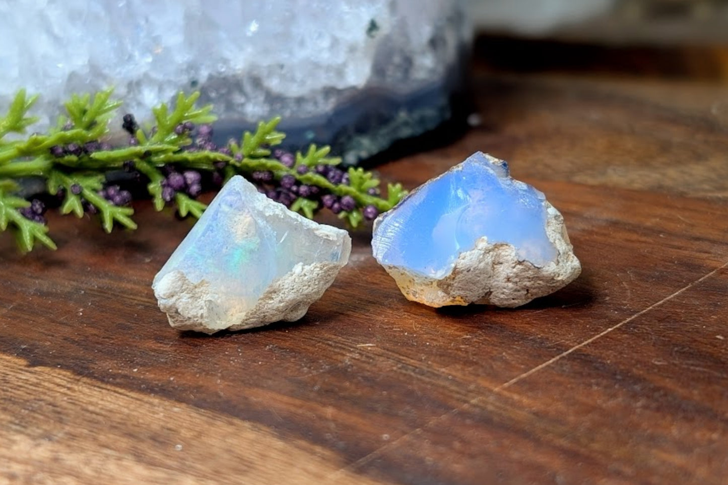 Opal Rough Pieces