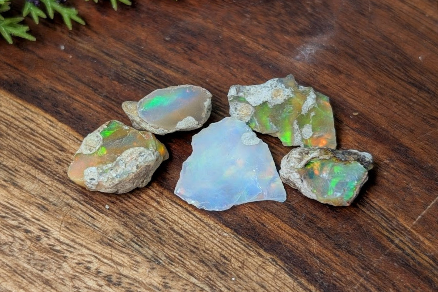 Opal Rough Pieces