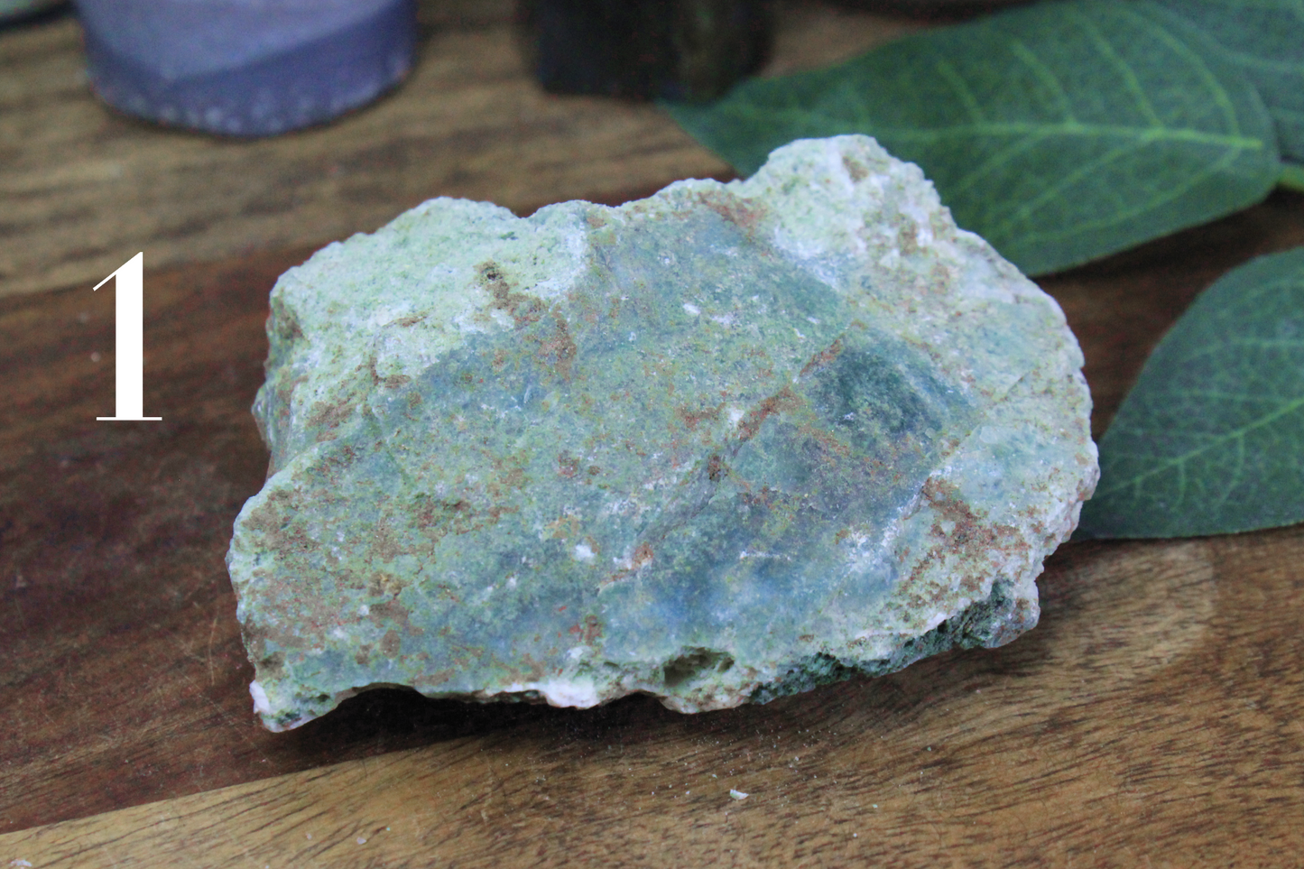 Tree Agate Rough Specimen