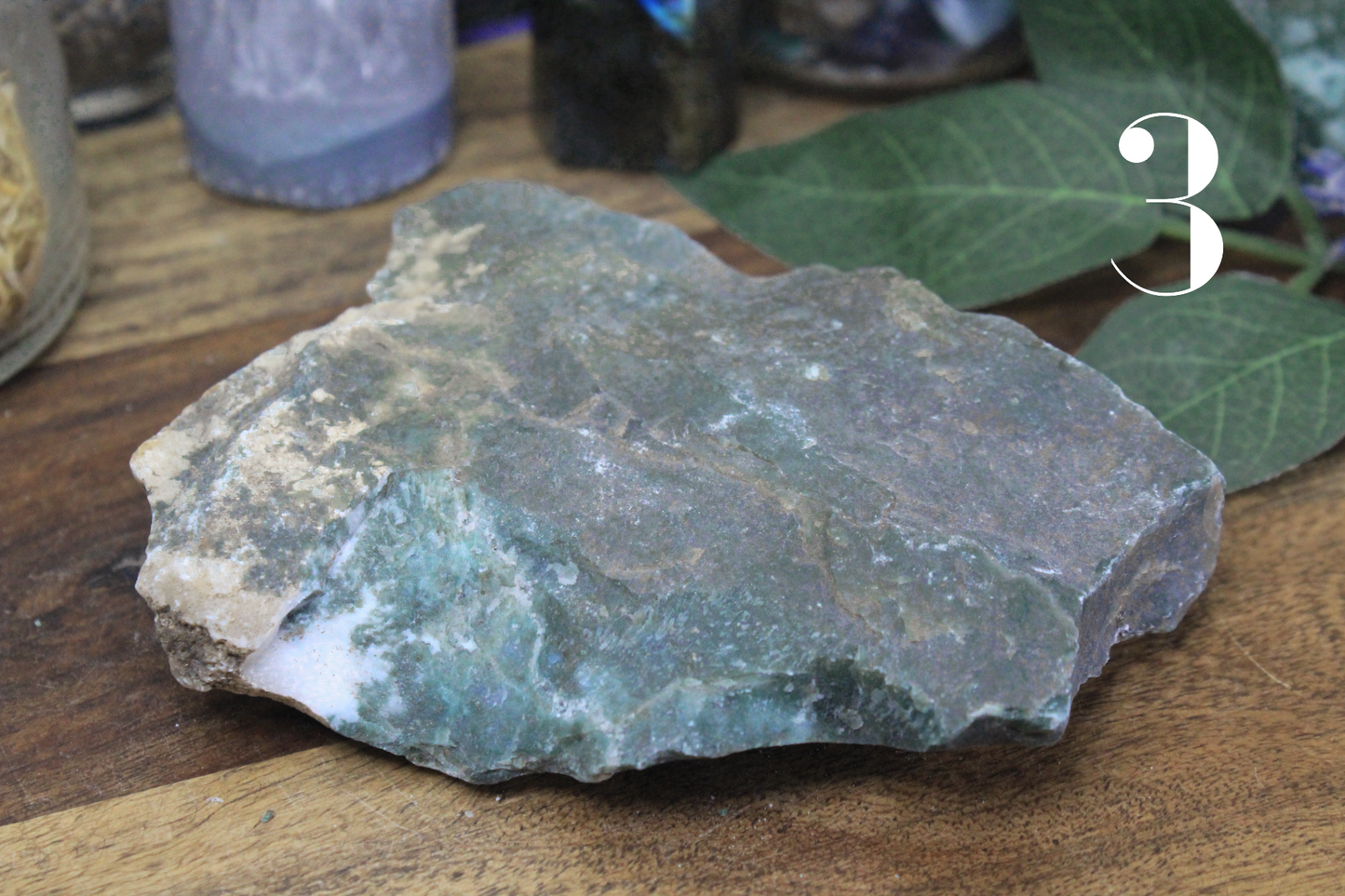 Tree Agate Rough Specimen