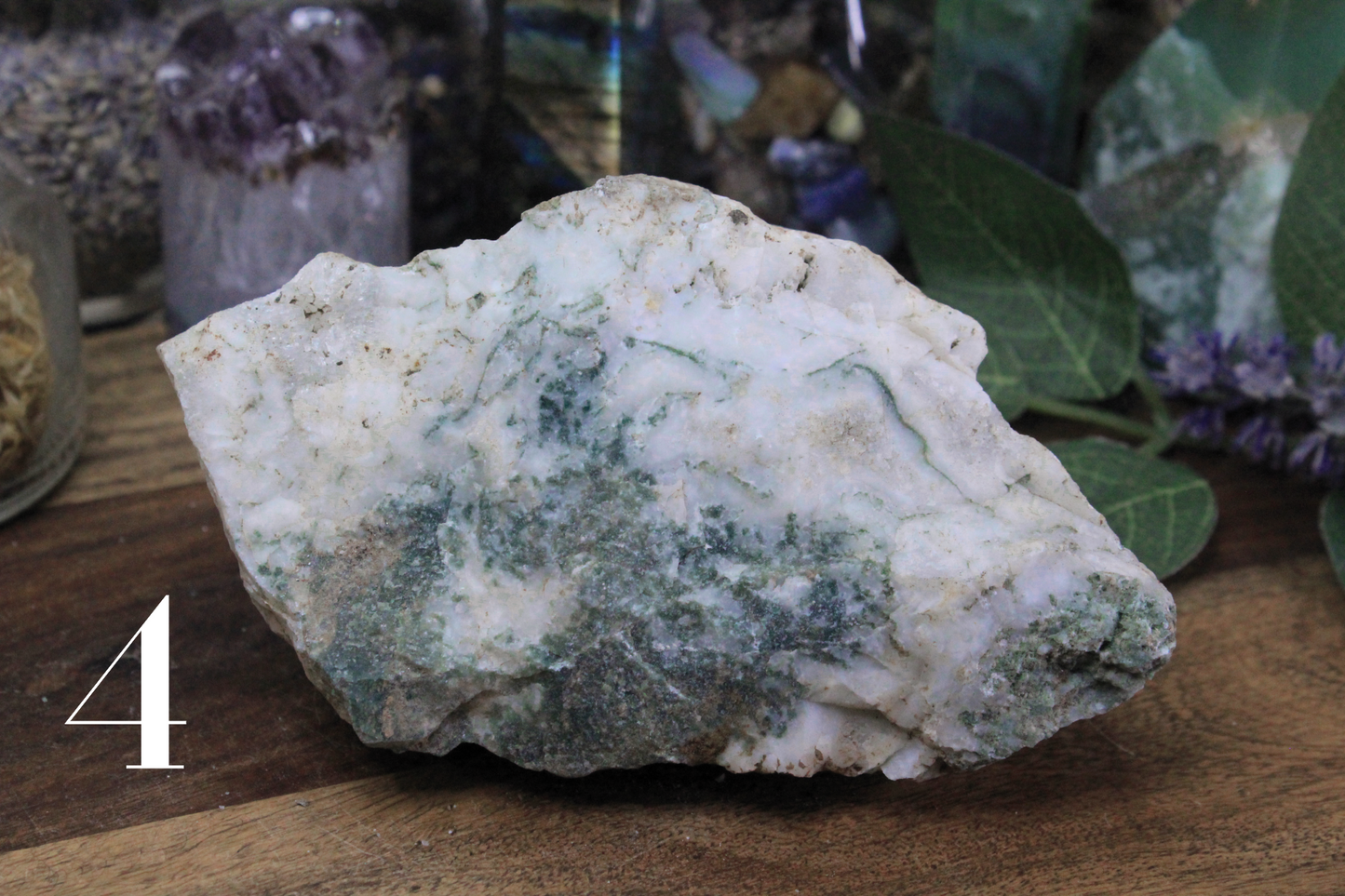 Tree Agate Rough Specimen