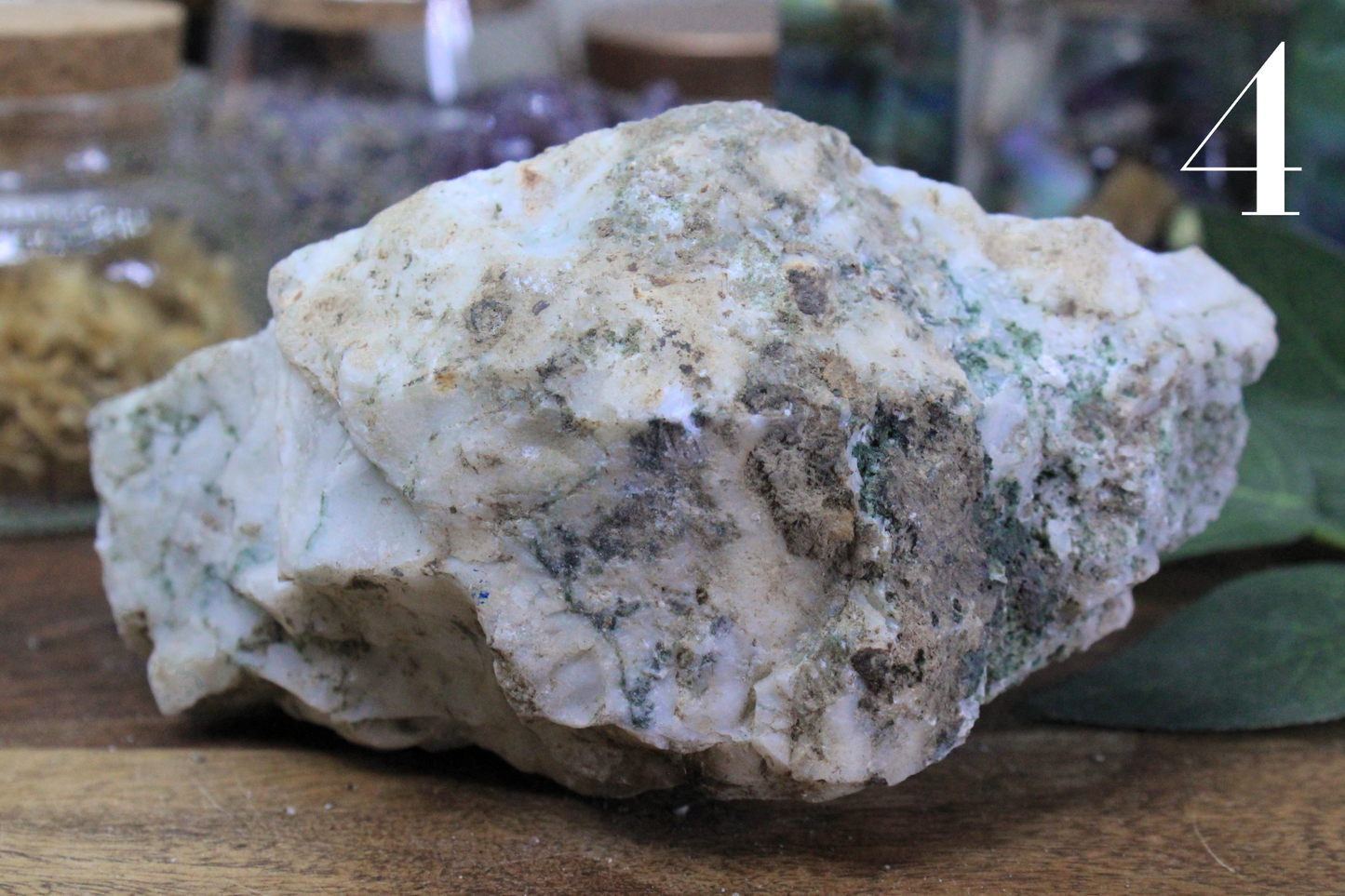 Tree Agate Rough Specimen